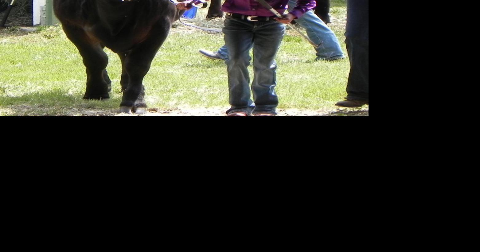 Idaho County Fair 2019 Schedule Special Sections