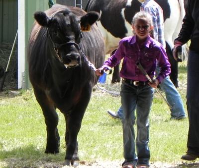 Idaho County Fair 2019 Schedule Special Sections