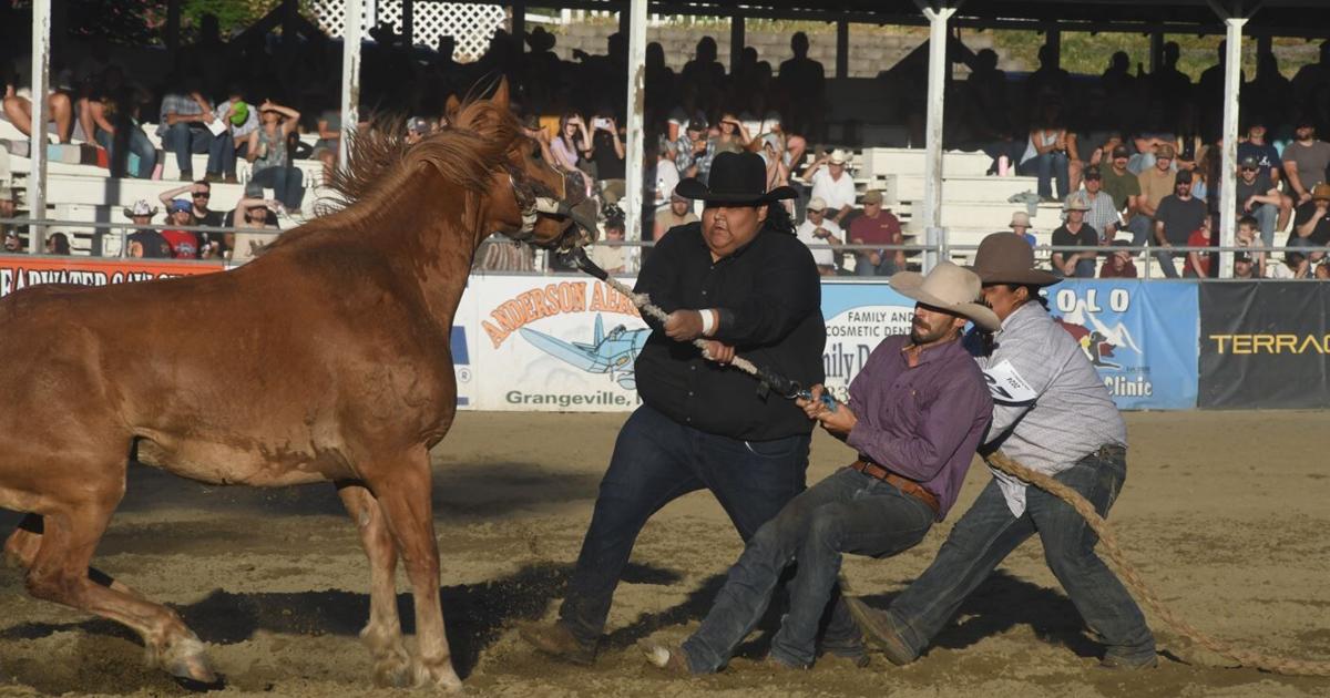 Texas Rodeo Border Border Days Rodeo: Bigger, faster, more exciting in 2025 | News ...