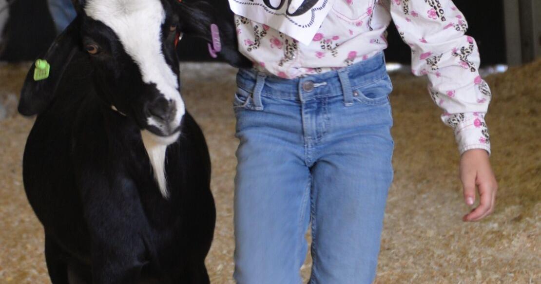 New sheep, goat barn will have 36 pens
