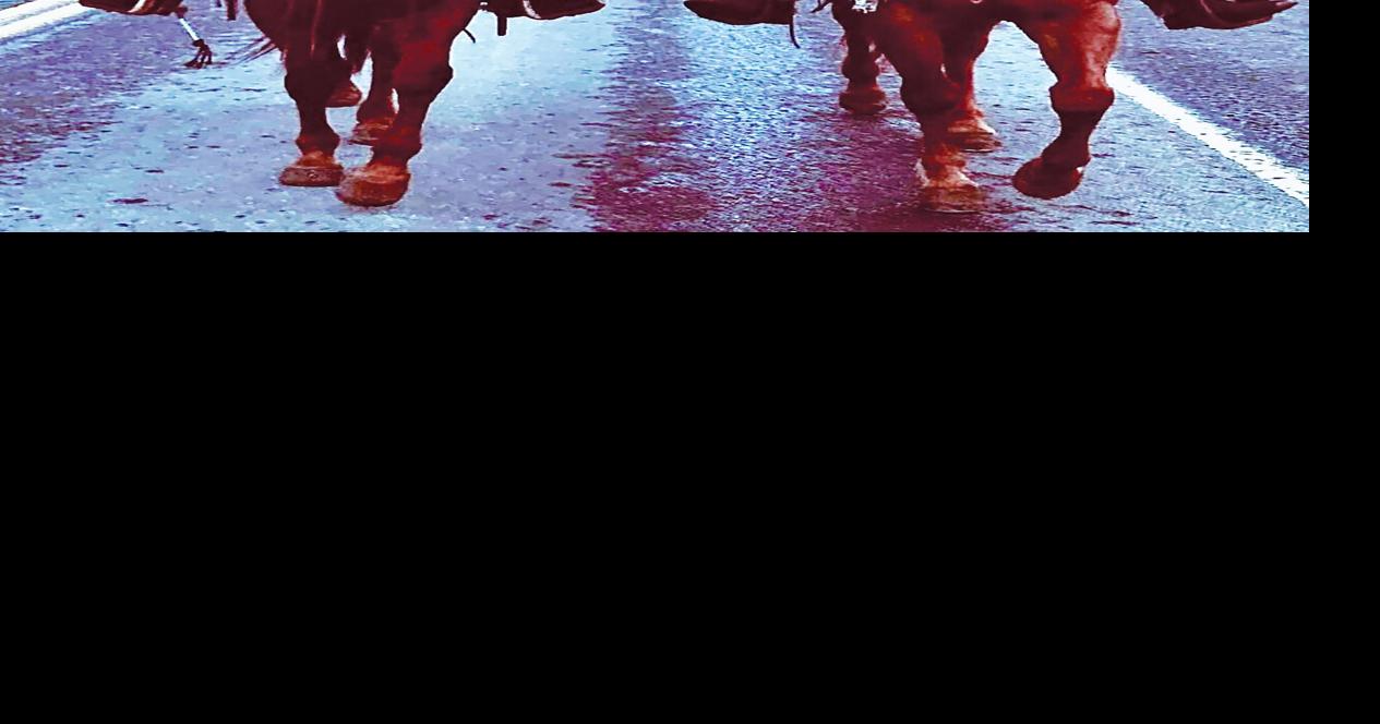 Riggins News Riggins Rodeo set for next weekend Community