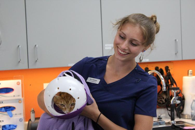 Tolo Veterinary Clinic hosts open house Community