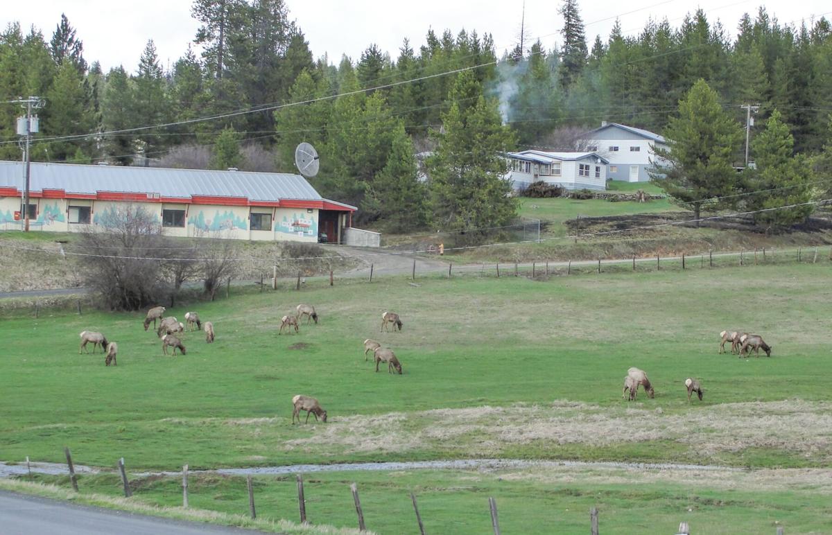 Elk City
