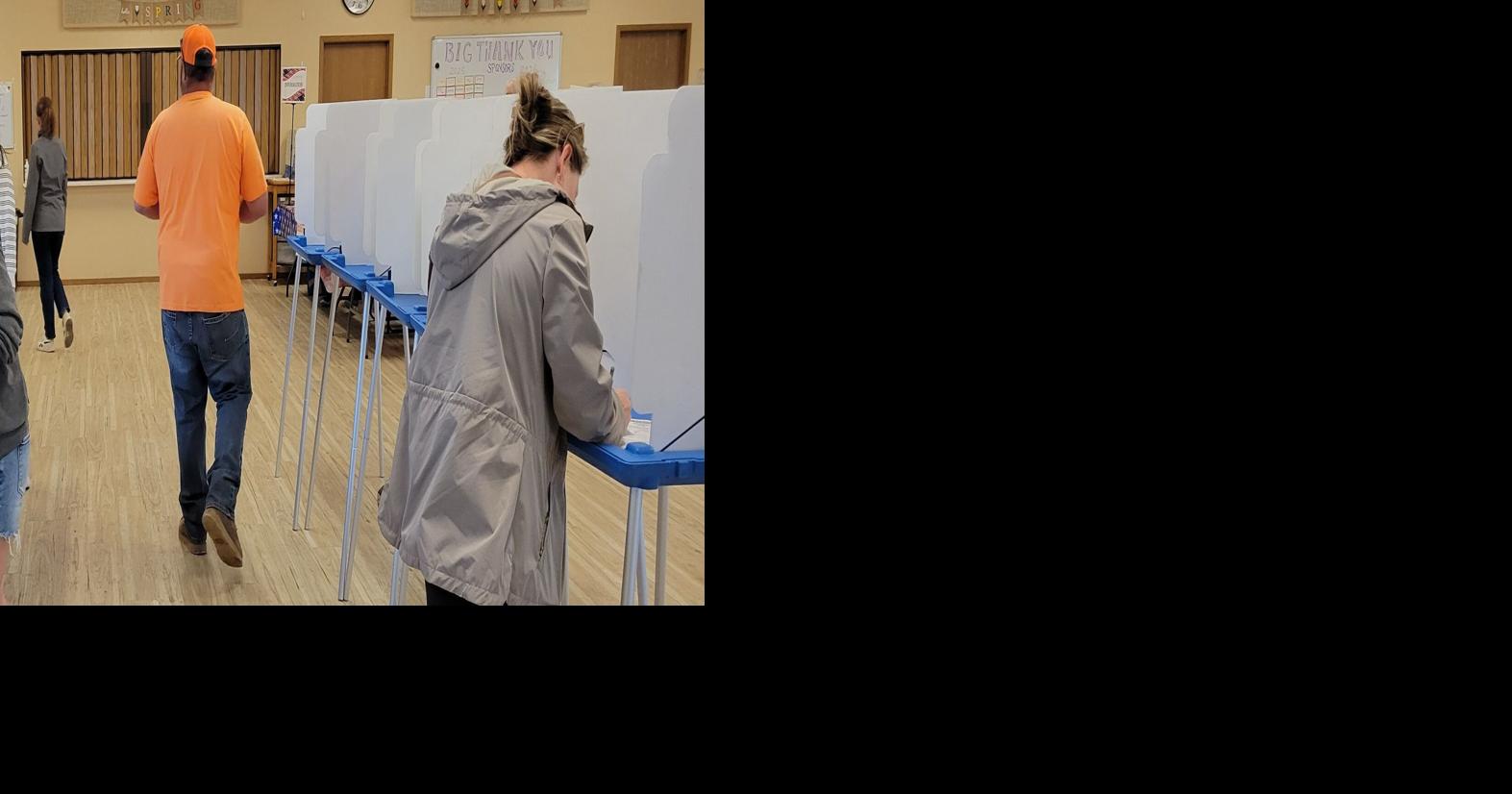 May 19 primary: 44% turnout - School levies pass; franchise fee fails; Brandt reelected