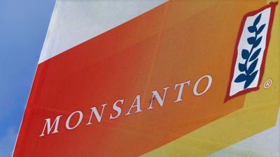 Monsanto To Pay 95m Over Pcb Pollution In Washington State Regional News Ifiberone Com