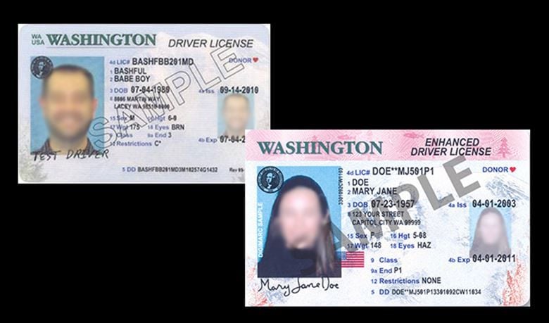 washington state check drivers license status