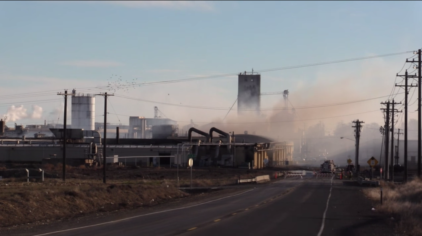 Report Dozens of Washington Potato Company workers permanently laid