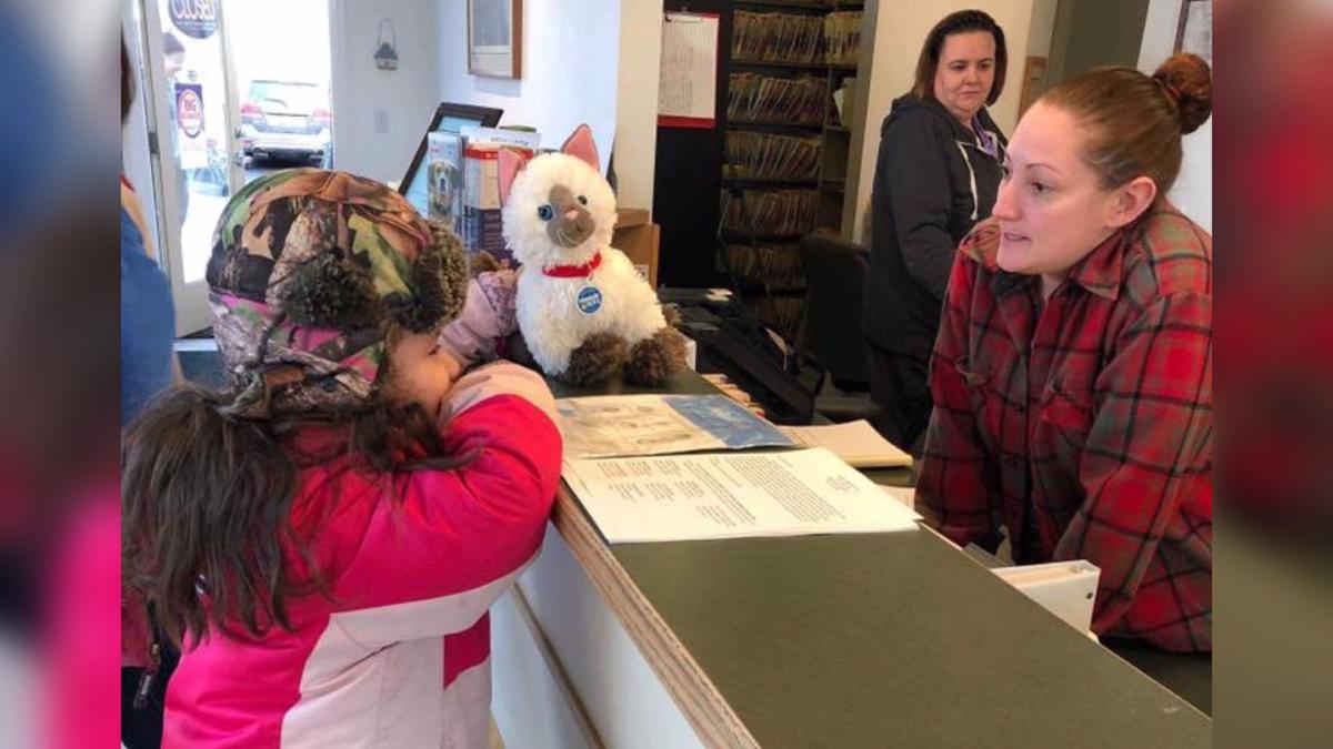 Pioneer Veterinary Clinic examines stuffed cat for special needs child