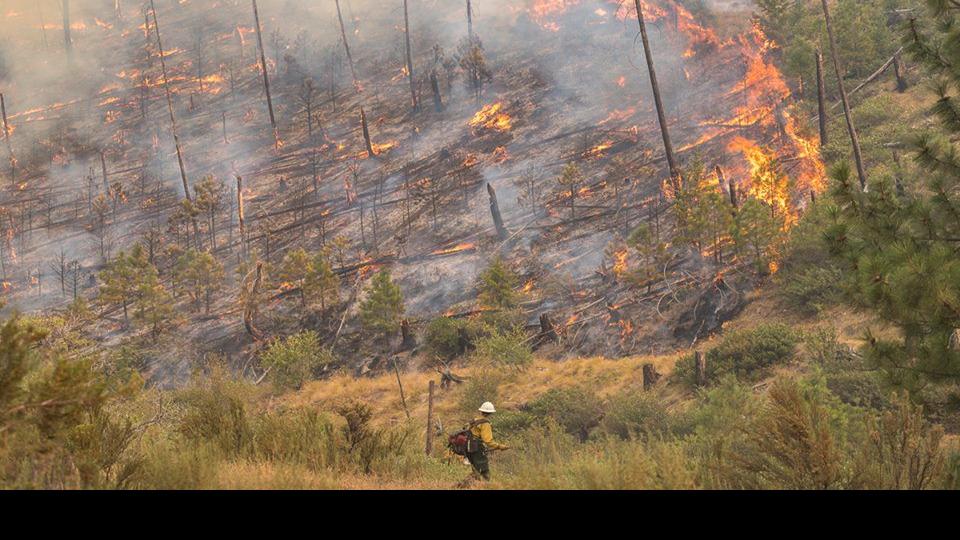 Cougar Creek Fire No Longer Quiet On The Western Front Columbia Basin Ifiberone Com