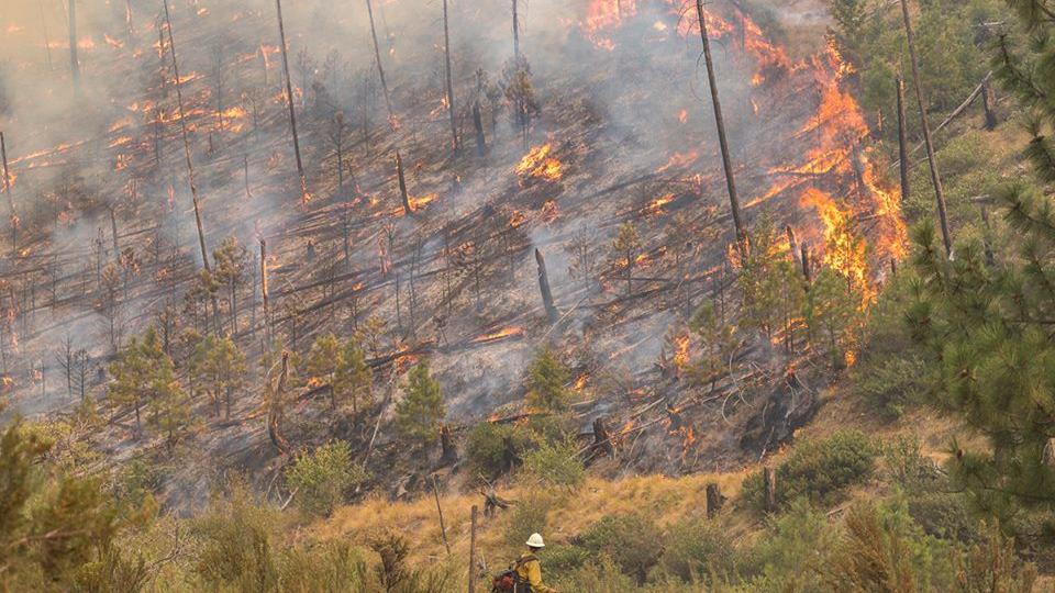 Cougar Creek Fire No Longer Quiet On The Western Front Columbia Basin Ifiberone Com