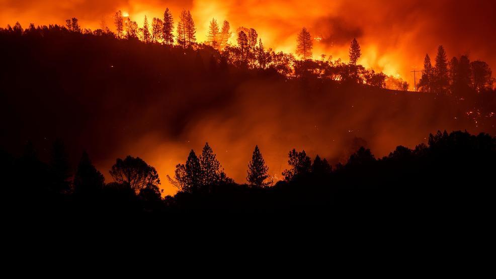 Douglas Fir Trees Produce More Flying Embers That Can Spark New Fires New Study Shows Regional News Ifiberone Com If the code doesn't work, make sure to hit enter after pasting in the code or move your character around. douglas fir trees produce more flying