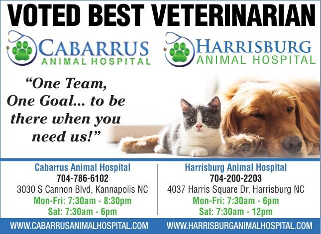 CABARRUS ANIMAL HOSPITAL P.A