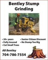 BENTLEY'S LAWN CARE AND STUMP GRINDING