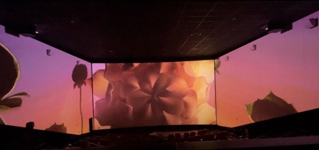 ScreenX