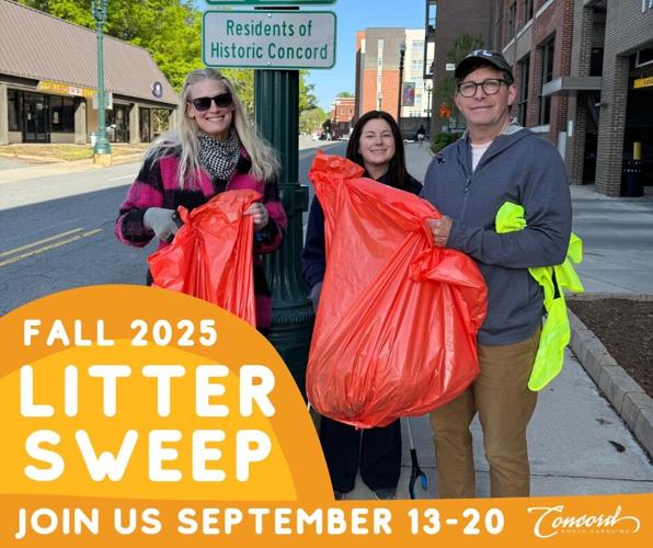 Fall litter sweep