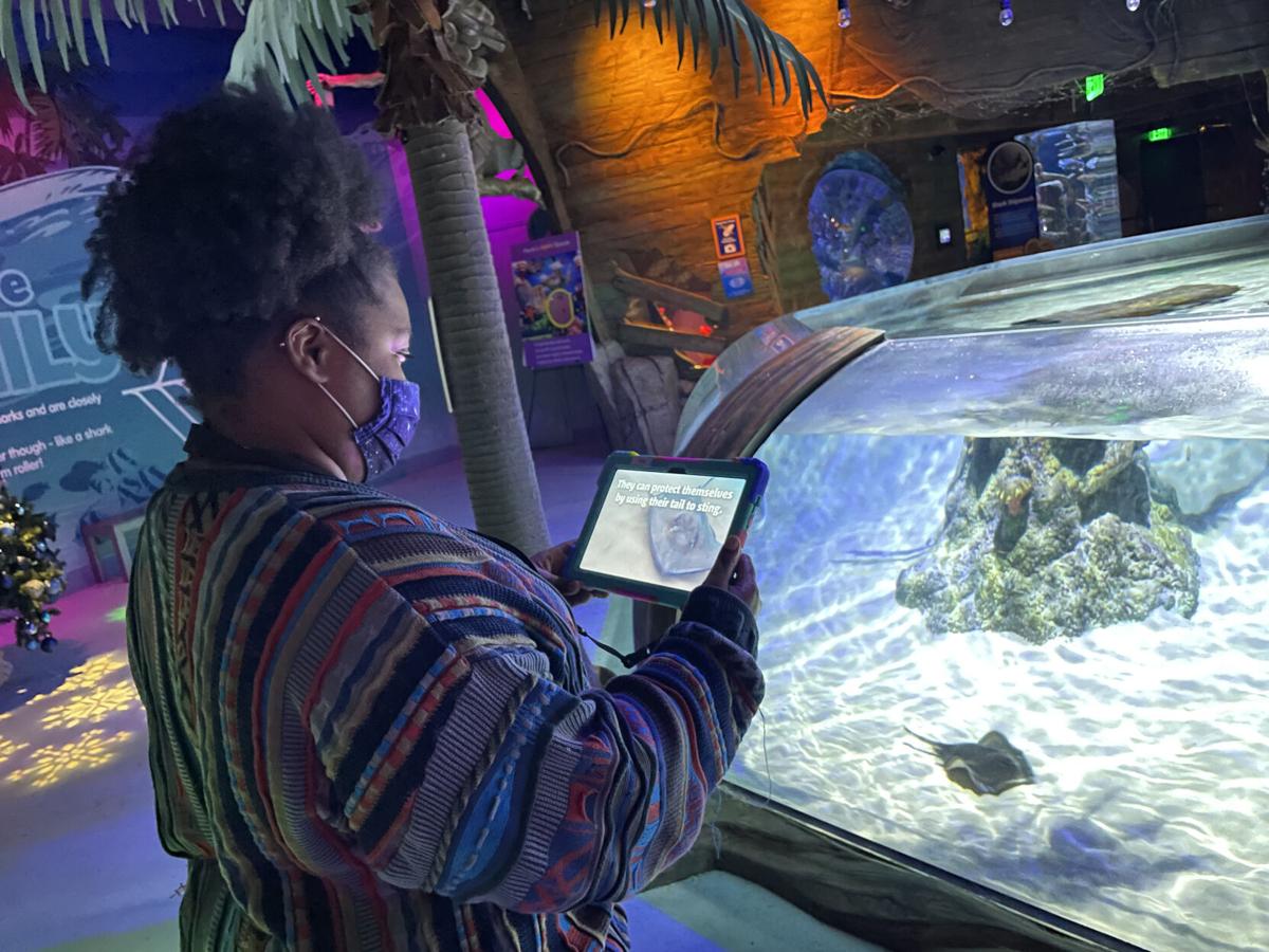 SEA- LIFE takes a dive into AR at Concord Mills aquarium