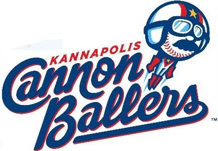 All Star Dogs: Kannapolis Canon Ballers Pet Products