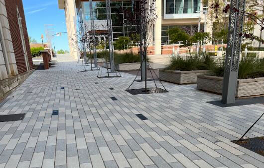 Carolina Thread Trail