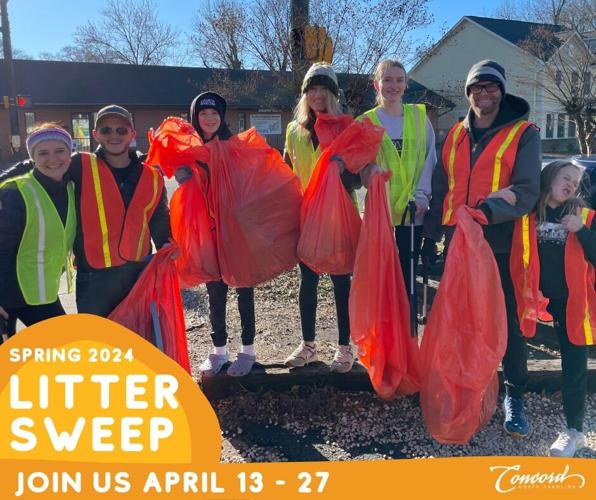 Concord Litter Sweep