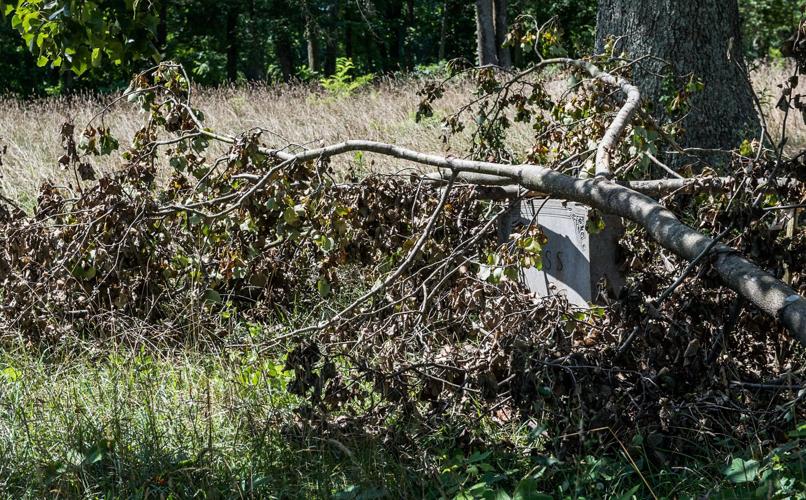 Campground Cemetery cleanup