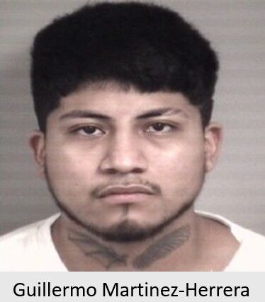 Guillermo Martinez-Herrera