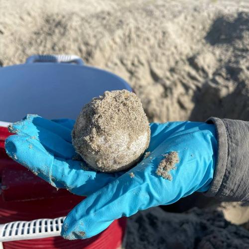 Cape Hatteras National Seashore