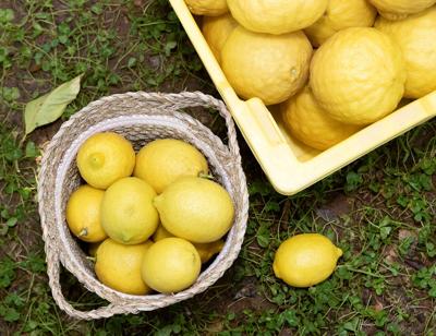Types of lemons