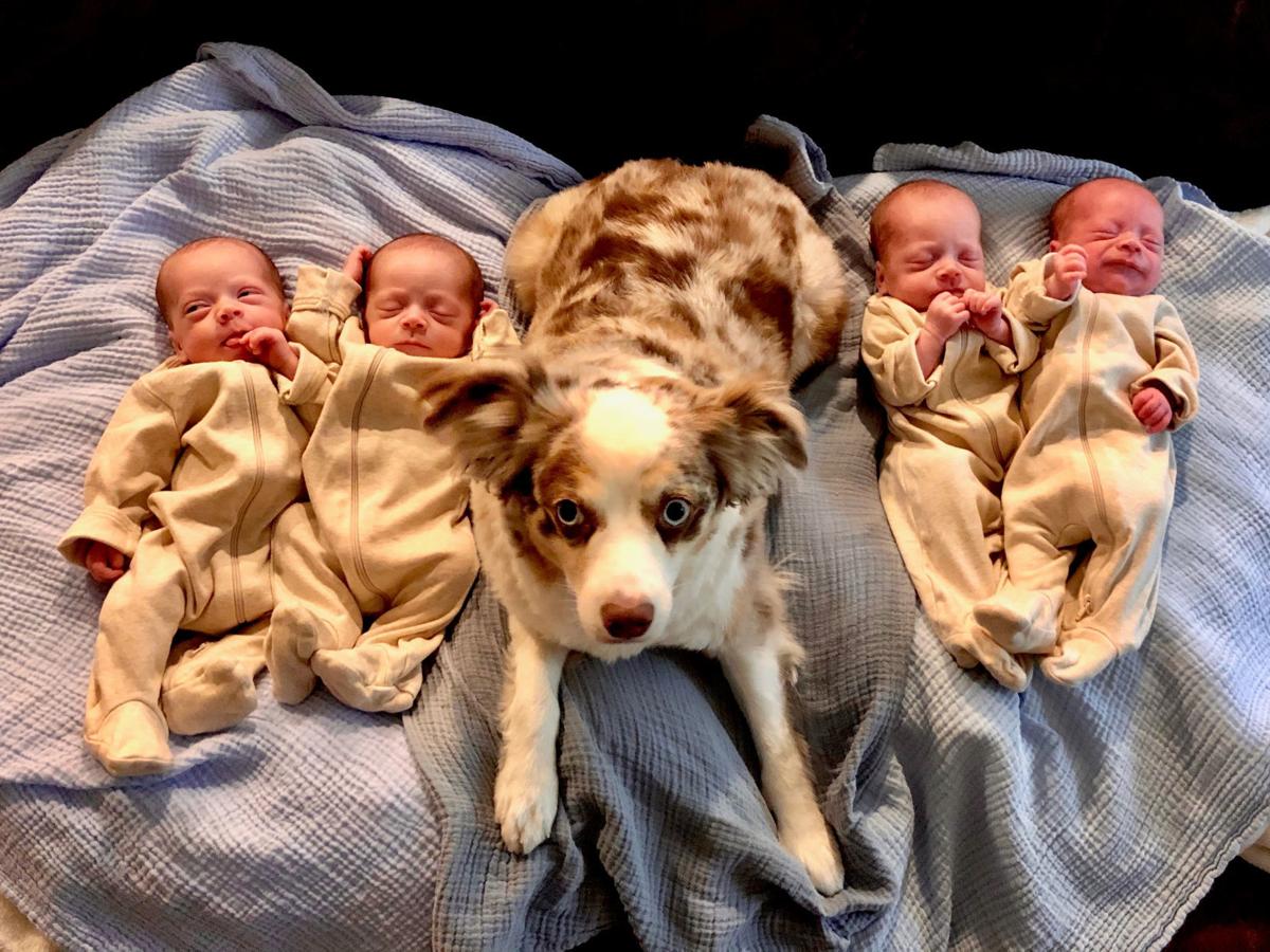 28+ Uk&#039;s Only Identical Quadruplets 2020 Pictures