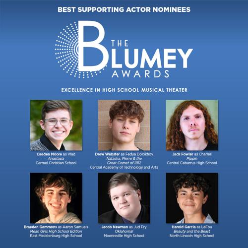 Blumeys suporting actor.jpg