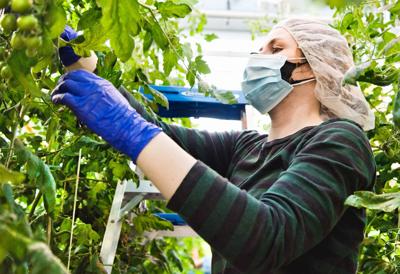 Vertical Harvest is raising food and futures in Wyoming