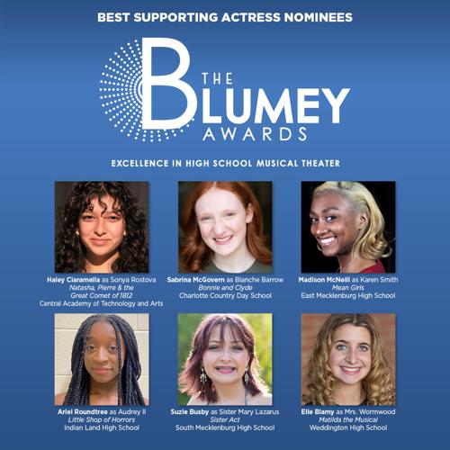 Blumeys supporting actress.jpg