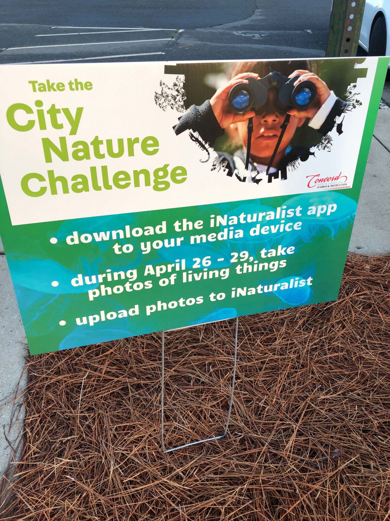 Programs at the park