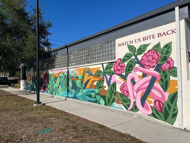 "Watch us Bite Back" is written in big black letters on the outside wall of The Lynx bookshop in the city of Gainesville in northern Florida.