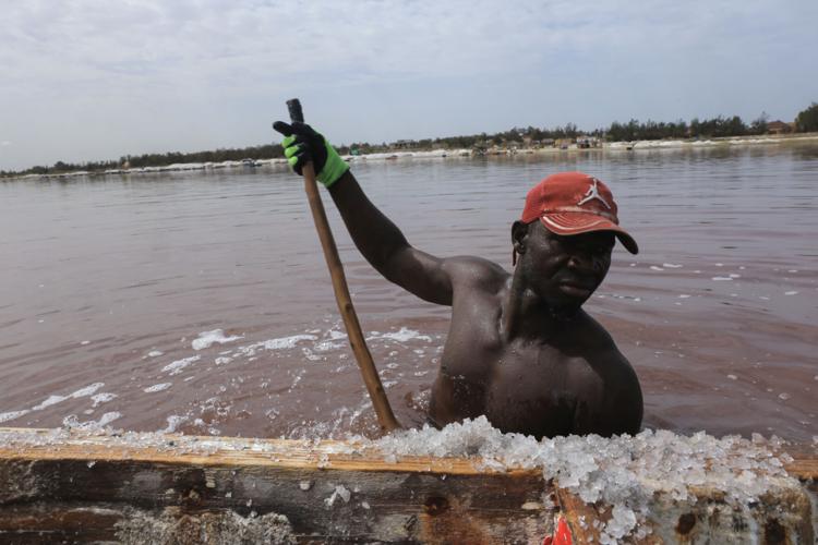 SENEGAL-PINKLAKE/SALT