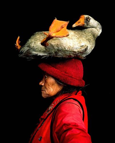 Goose Lady