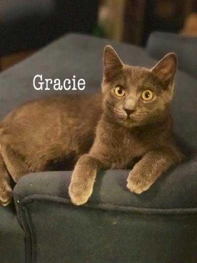 Gracie