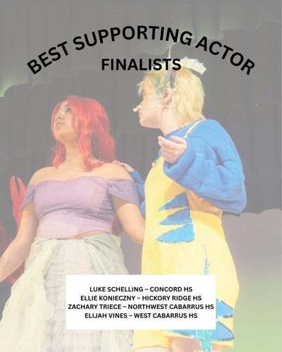 Best supporting actor finalists