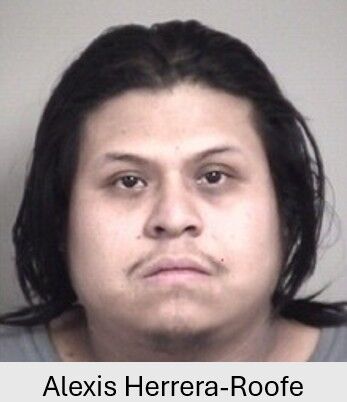 Alexis Herrera-Roofe