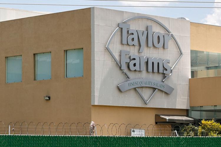 US FDA continues investigating Taylor Farms as cyclosporiasis cases mount