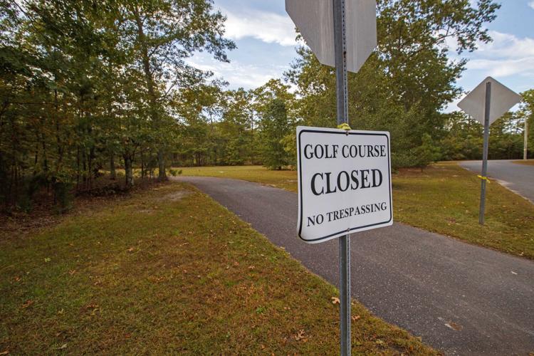 100919_nws_oldblueheron2