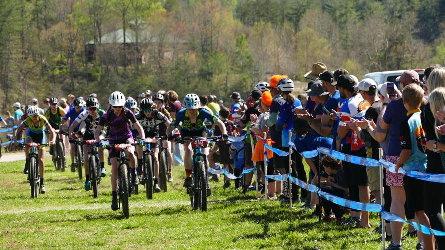 Mountain bikers