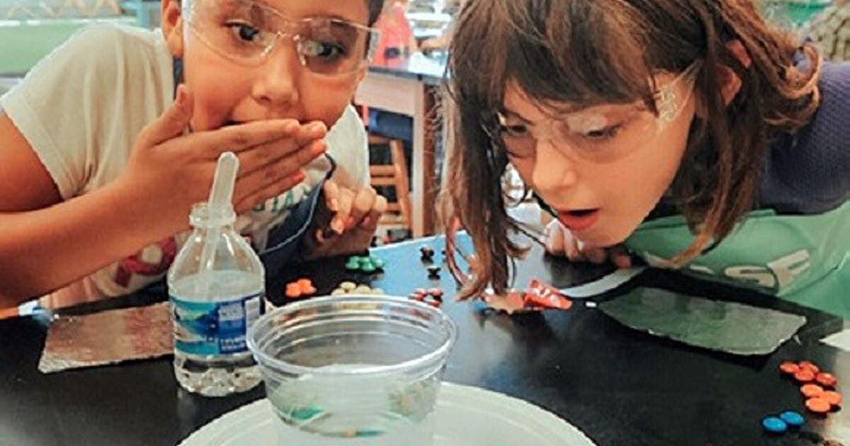 Charlotte Motor Speedway STEAM program partners with BASF North America - Vimarsana News