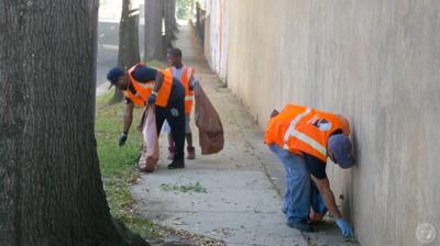 Litter sweep.