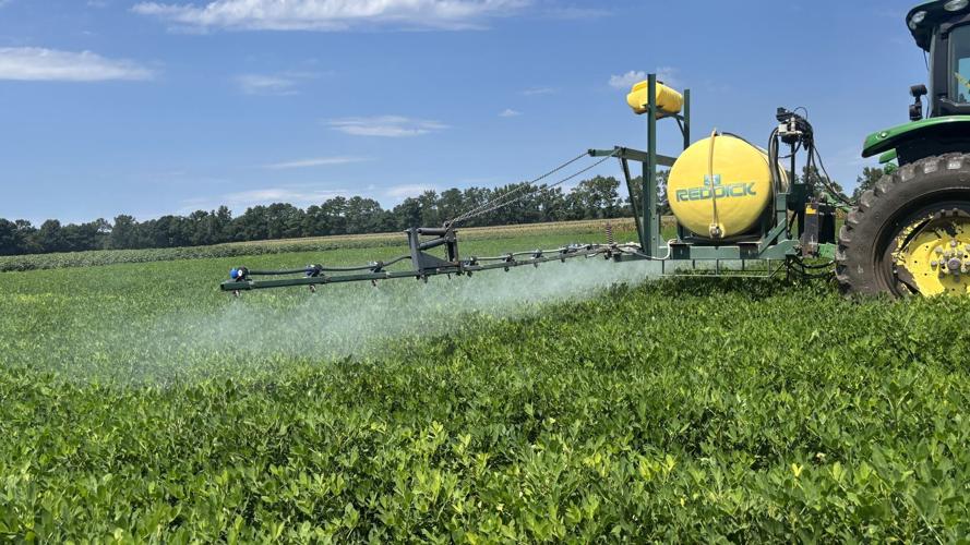 Fungicide Performance Peanut Notes No. 223 2026