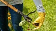 Top 10 Garden Tools for Tough Gardening Problems - Vimarsana News