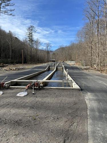 The Armstrong State Fish Hatchery is currently the North Carolina Wildlife Resources Commission's only operational fish hatchery, and an unusually hot summer caused fish to die.