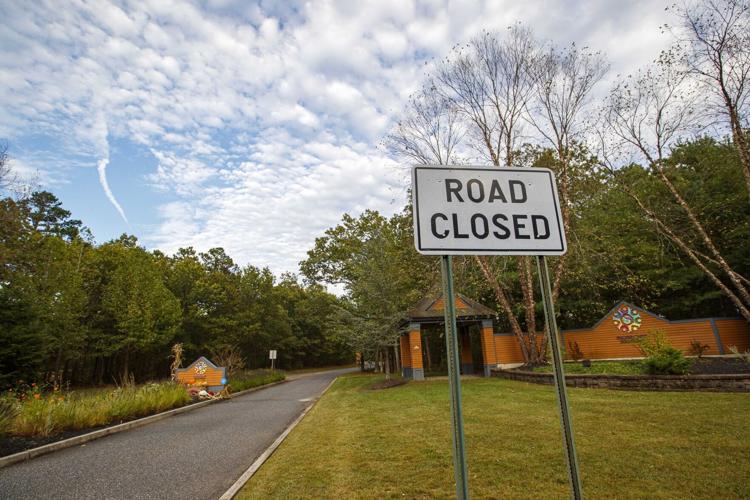 100919_nws_oldblueheron