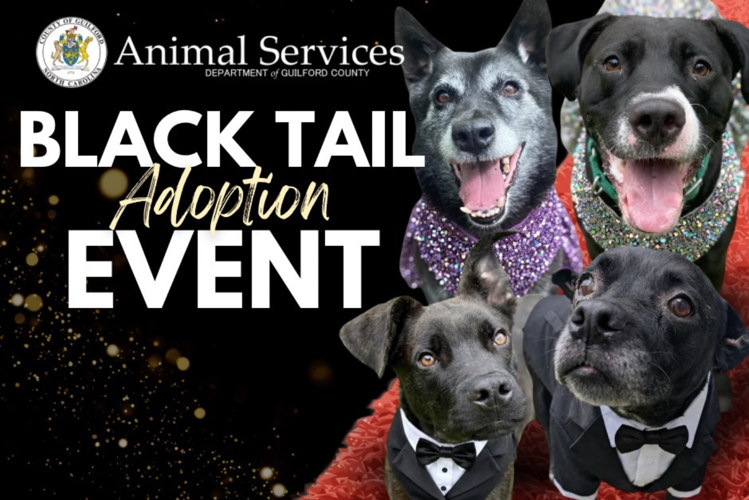 Guilford County Animal Services Hosts Black Tail Adoption Event