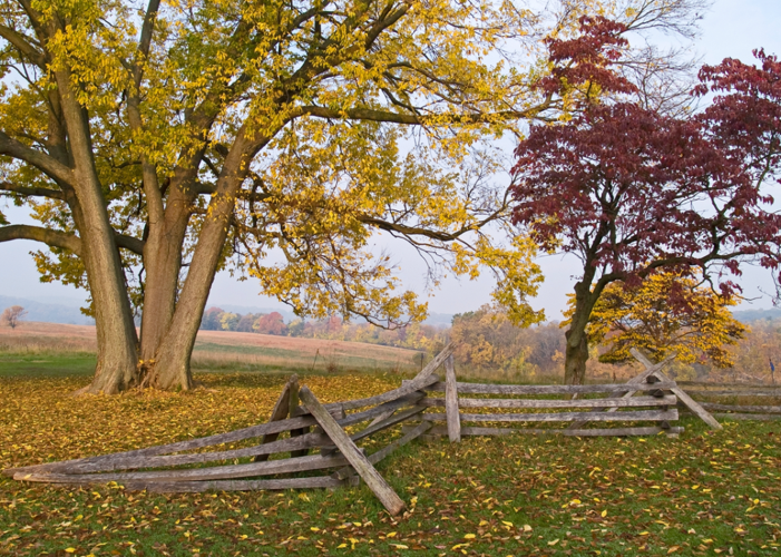#1. Chesterbrook, Pennsylvania