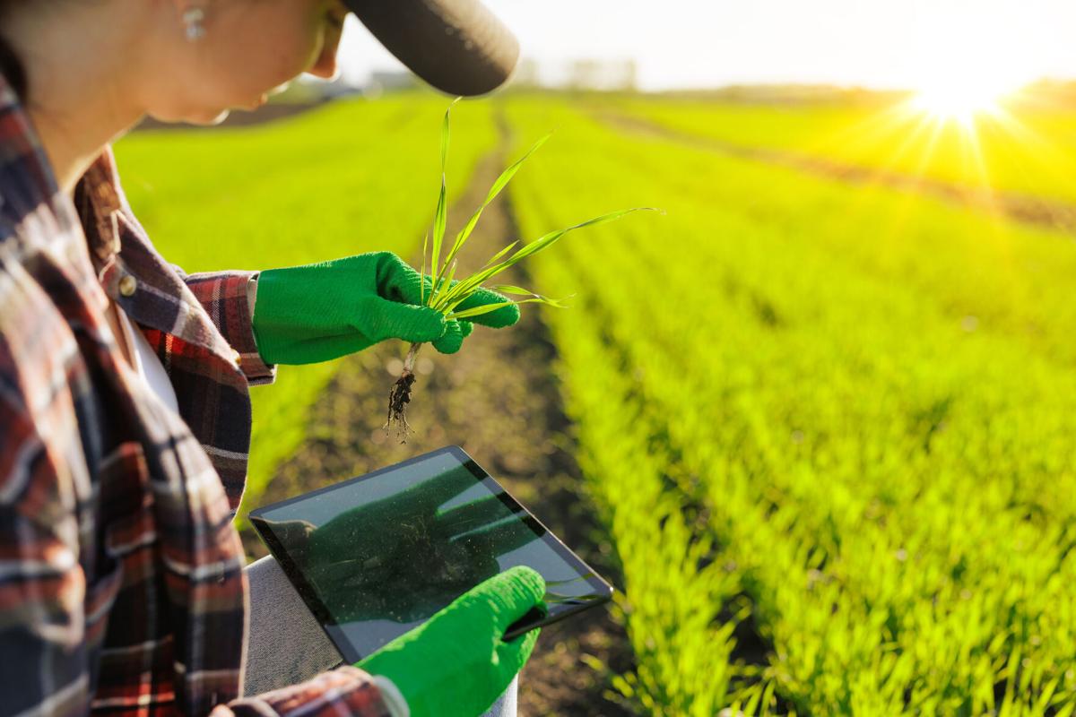 Farm grants available